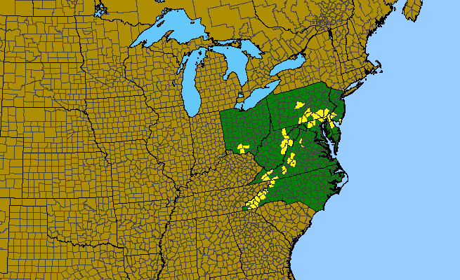 The range of Euphorbia purpurea